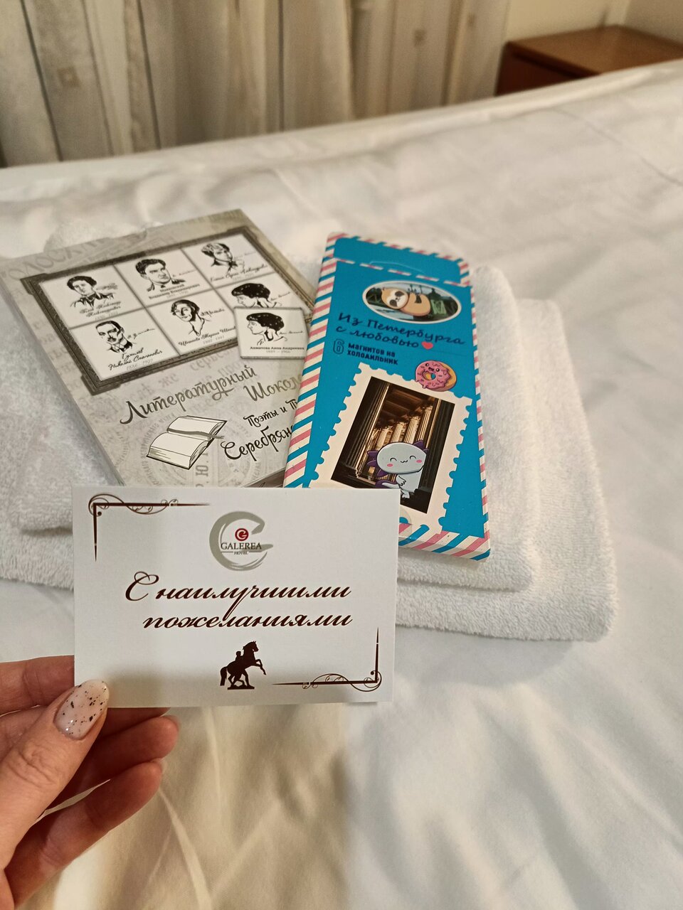 Гостиница Галерея Санкт-Петербург-221